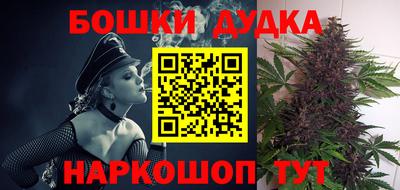 шишки Канаш