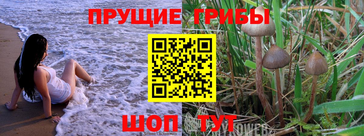 Галлюциногенные грибы GOLDEN TEACHER  Галлюциногенные грибы Cubensis  Вход с VPN  Дальнереченск 