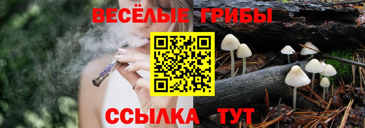 Галлюциногенные грибы Psilocybe Дальнереченск